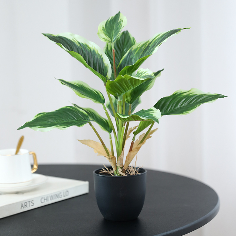 Bonsai Garden Layout - نباتات خضراء اصطناعية، نباتات بوثوس في