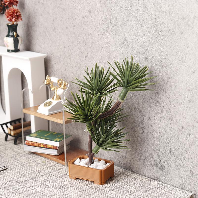 قطعة واحدة من نموذج شجرة الصنو - مراجعة Bonsai Garden Usa وسعره