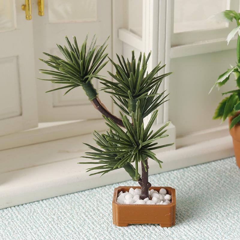 قطعة واحدة من نموذج شجرة الصنو - مراجعة Bonsai Garden Usa وسعره