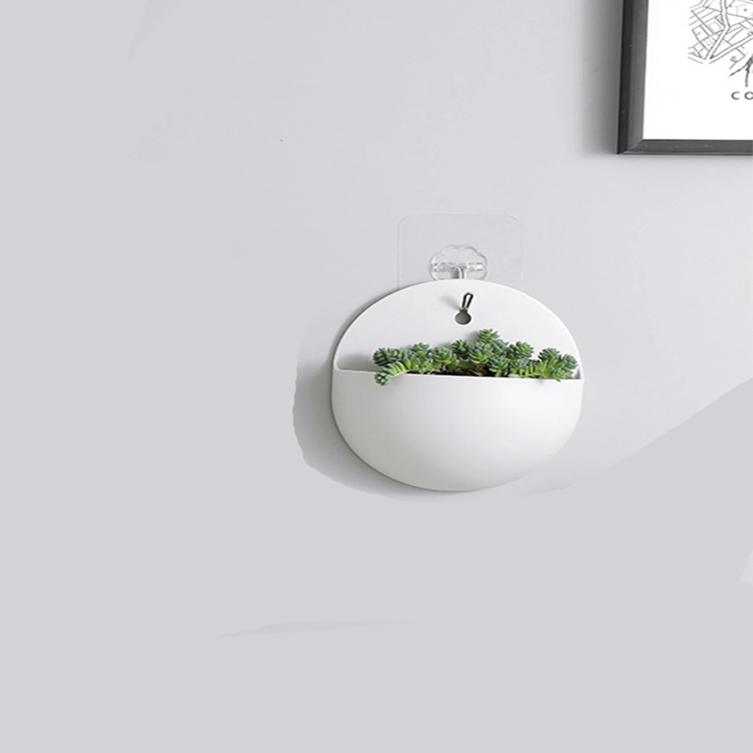 معلقة على الحائط مزارعي بونساي - مراجعة Bonsai Garden China وسعره