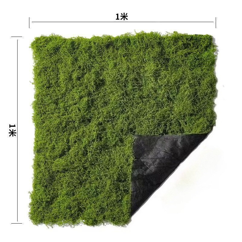 محاكاة العشب الطحلب الطابق الد - مراجعة Bonsai Garden Layout وسعره