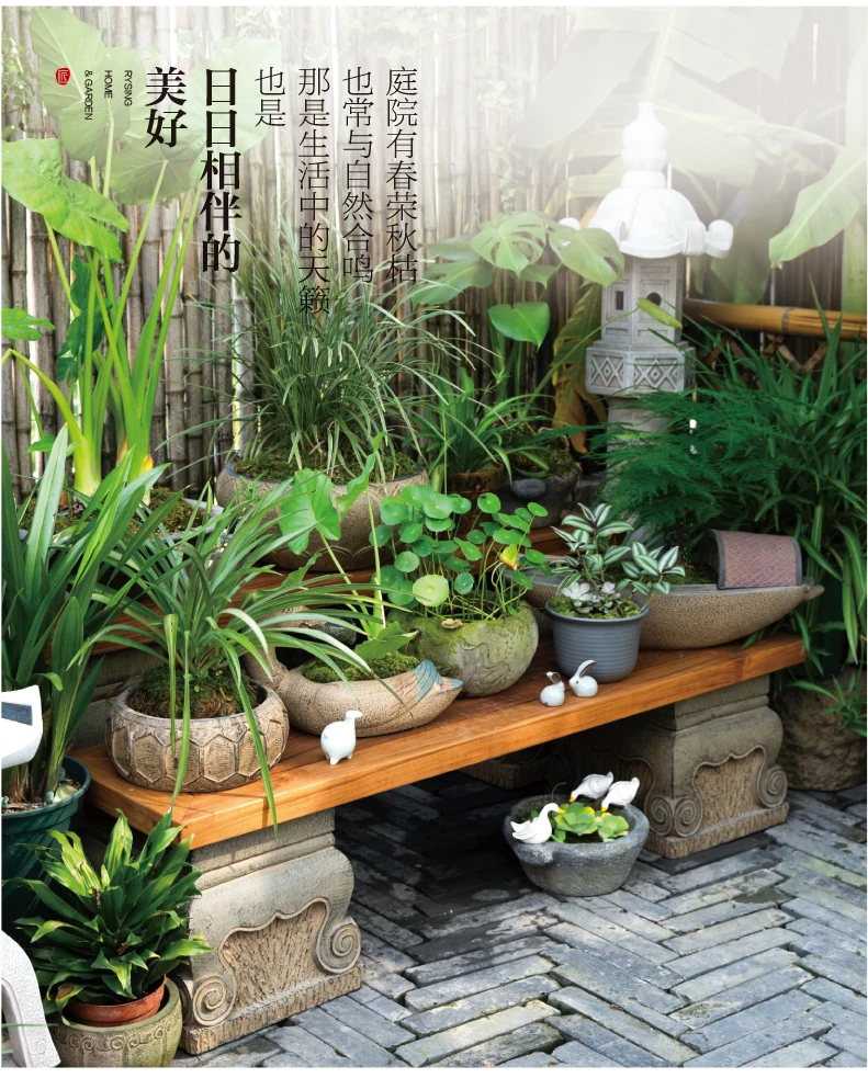 تخطيط حديقة الشرفة، رف الزهور  - مراجعة Bonsai Garden Layout وسعره