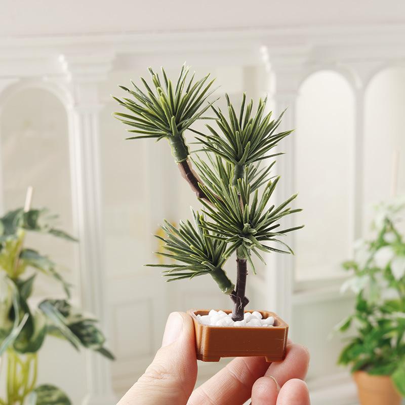 قطعة واحدة، نموذج شجرة صنوبر خ - مراجعة Bonsai Garden Usa وسعره