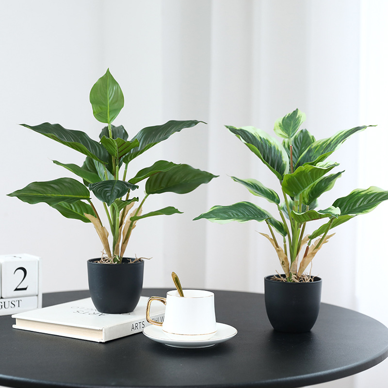نباتات خضراء اصطناعية، نباتات  - مراجعة Bonsai Garden Layout وسعره