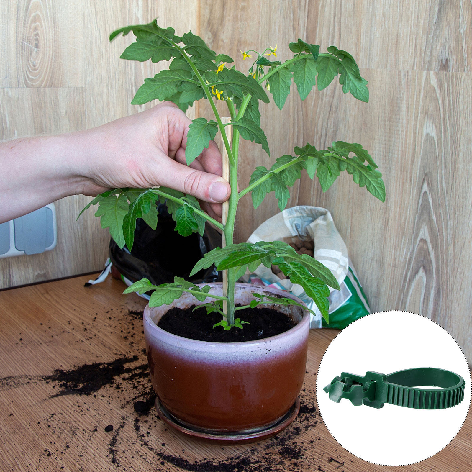 20 قطعة مشبك تثبيت للنباتات، م - مراجعة Bonsai Garden Usa وسعره