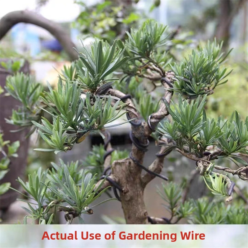 أسلاك بونساي من الألومنيوم بسم - مراجعة Bonsai Garden Usa وسعره