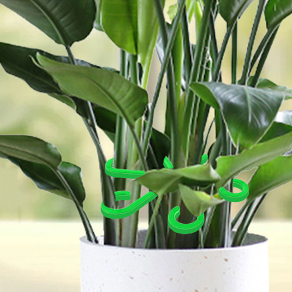 12 قطعة من مشابك دعم سيقان الن - مراجعة Bonsai Garden Usa وسعره